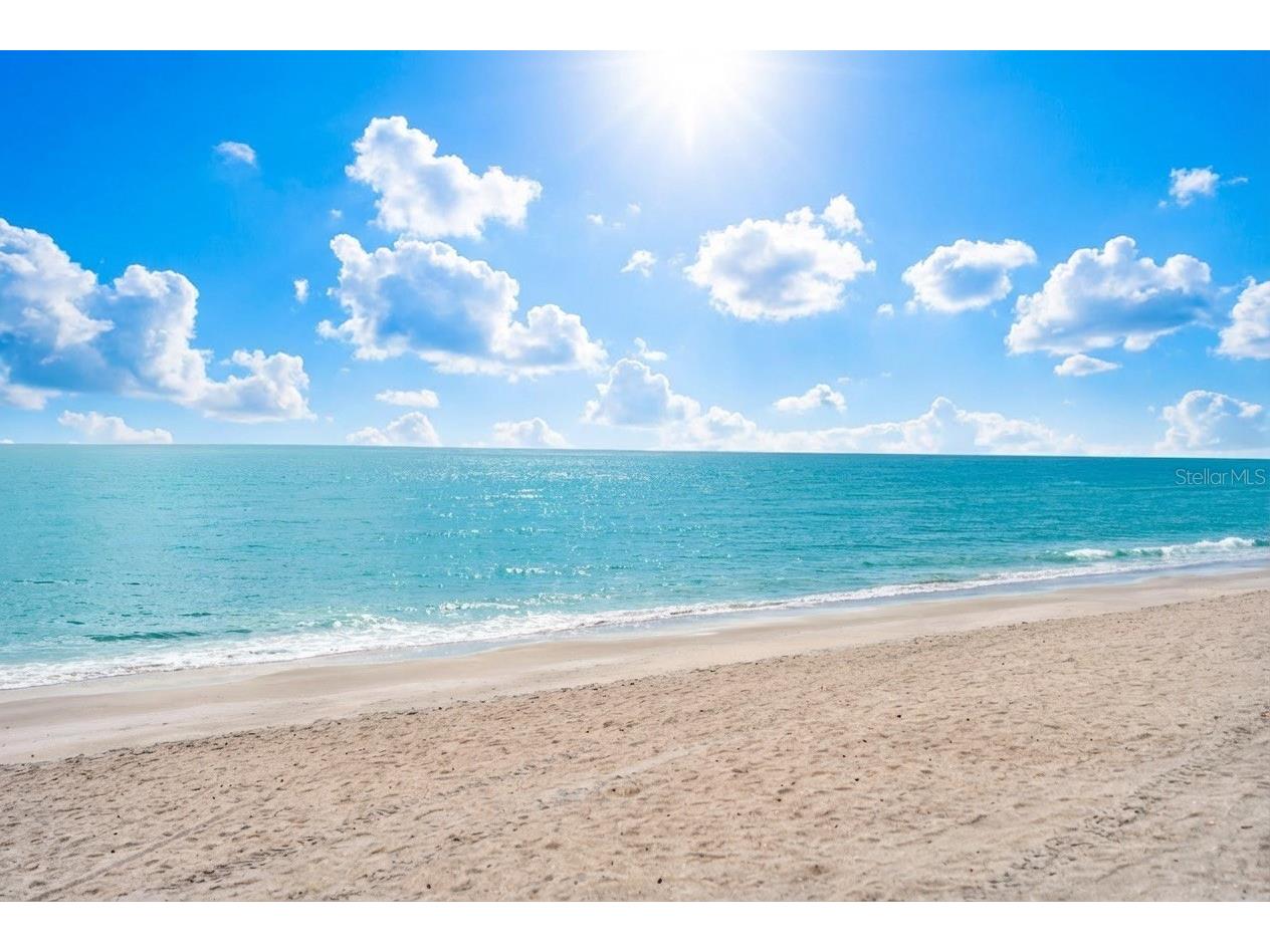 1212 Benjamin Franklin Drive #206 Sarasota FL 34236 A4674893 image93