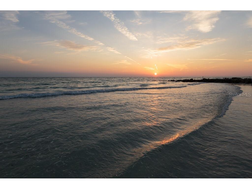 1212 Benjamin Franklin Drive #303 Sarasota FL 34236 O6113556 image56