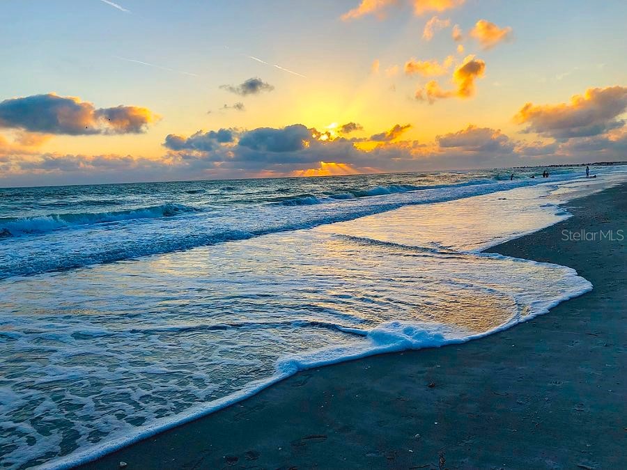 1212 Benjamin Franklin Drive #303 Sarasota FL 34236 O6113556 image57