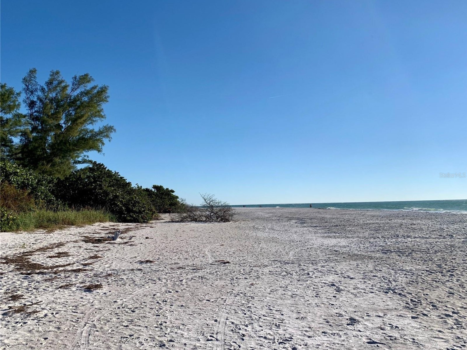 1212 Center Place Sarasota FL 34236 - LIDO SHORES PRIVATE BEACH A4676921 image53