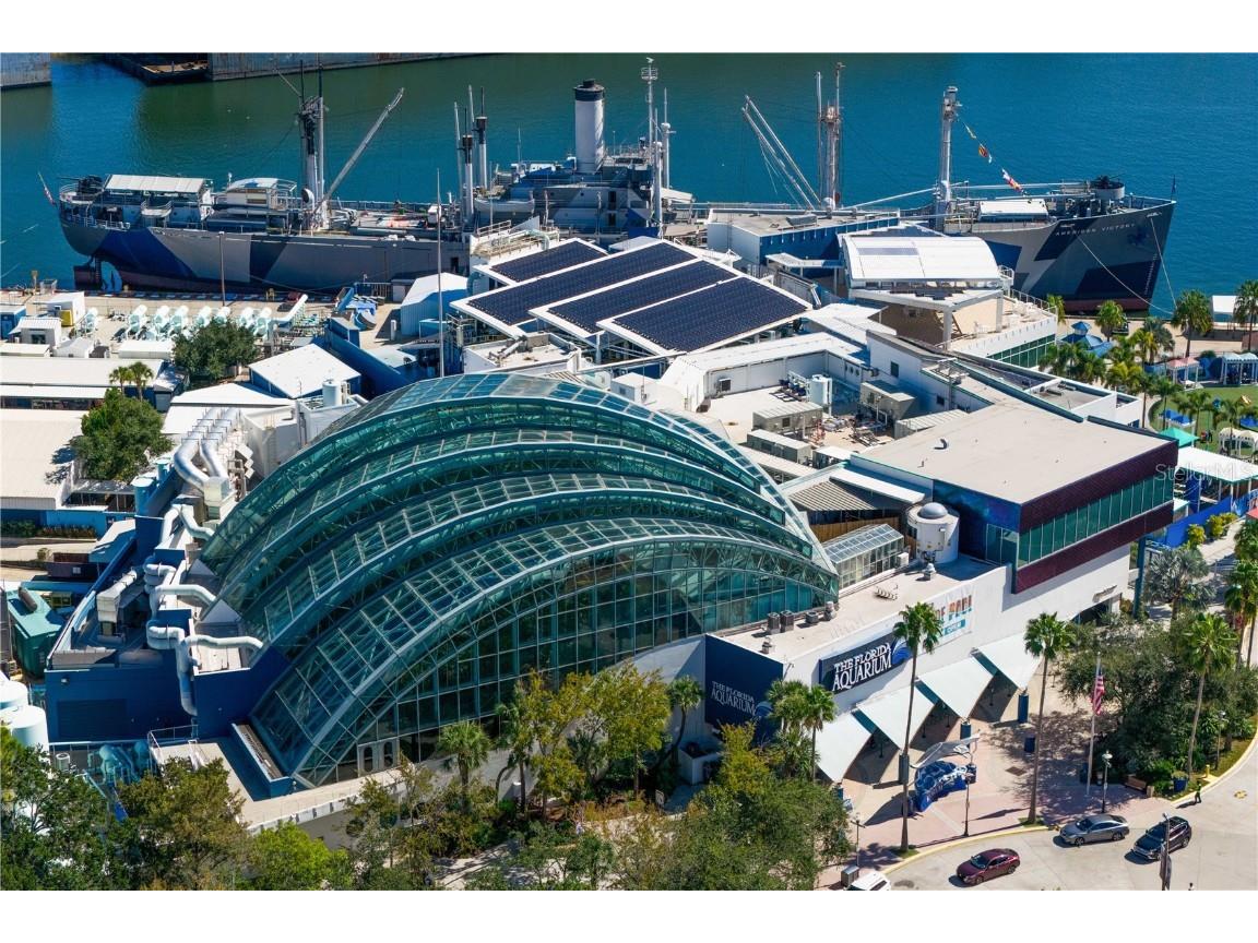 1212 E Whiting Street #303 Tampa FL 33602 TB8442685 image33