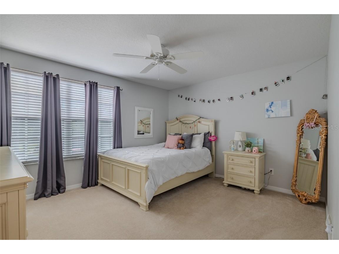 1212 Georgia Trace Avenue Valrico FL 33596 TB8447408 image28