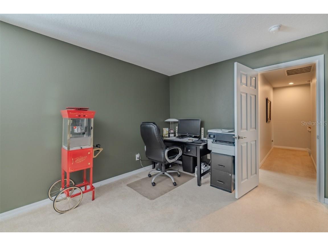 1212 Georgia Trace Avenue Valrico FL 33596 TB8447408 image32