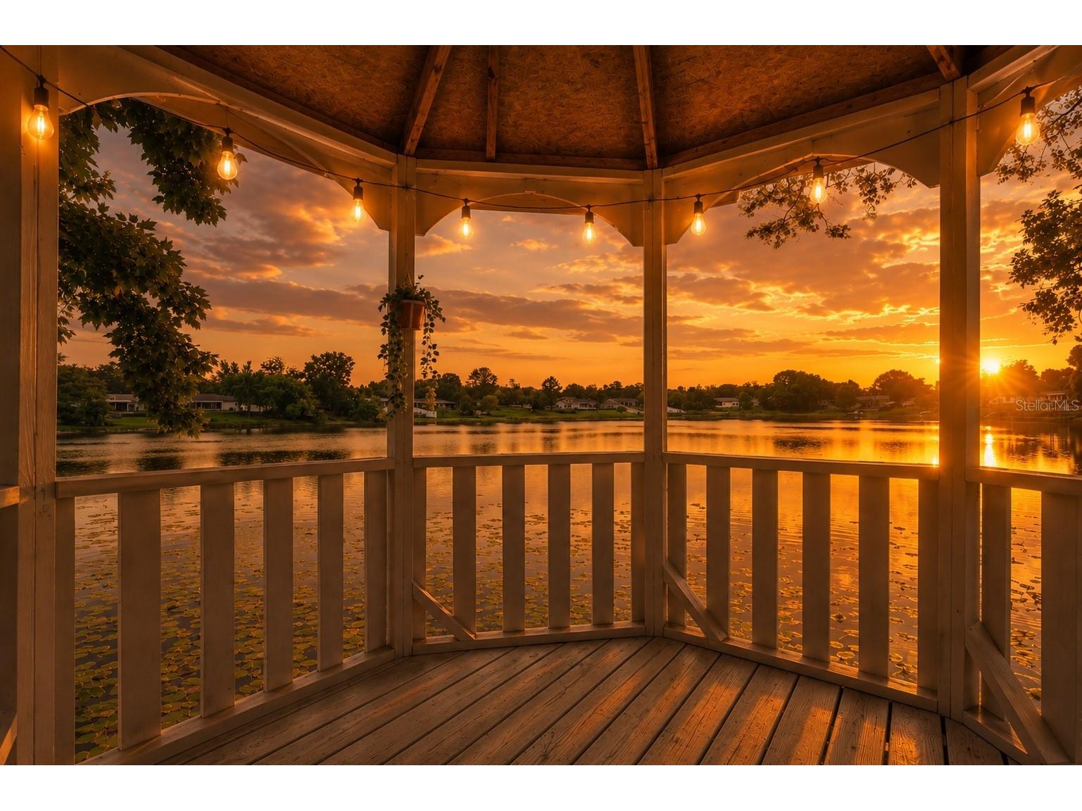 1212 Russell Drive Ocoee FL 34761 - PEACH LAKE O6407051 image3