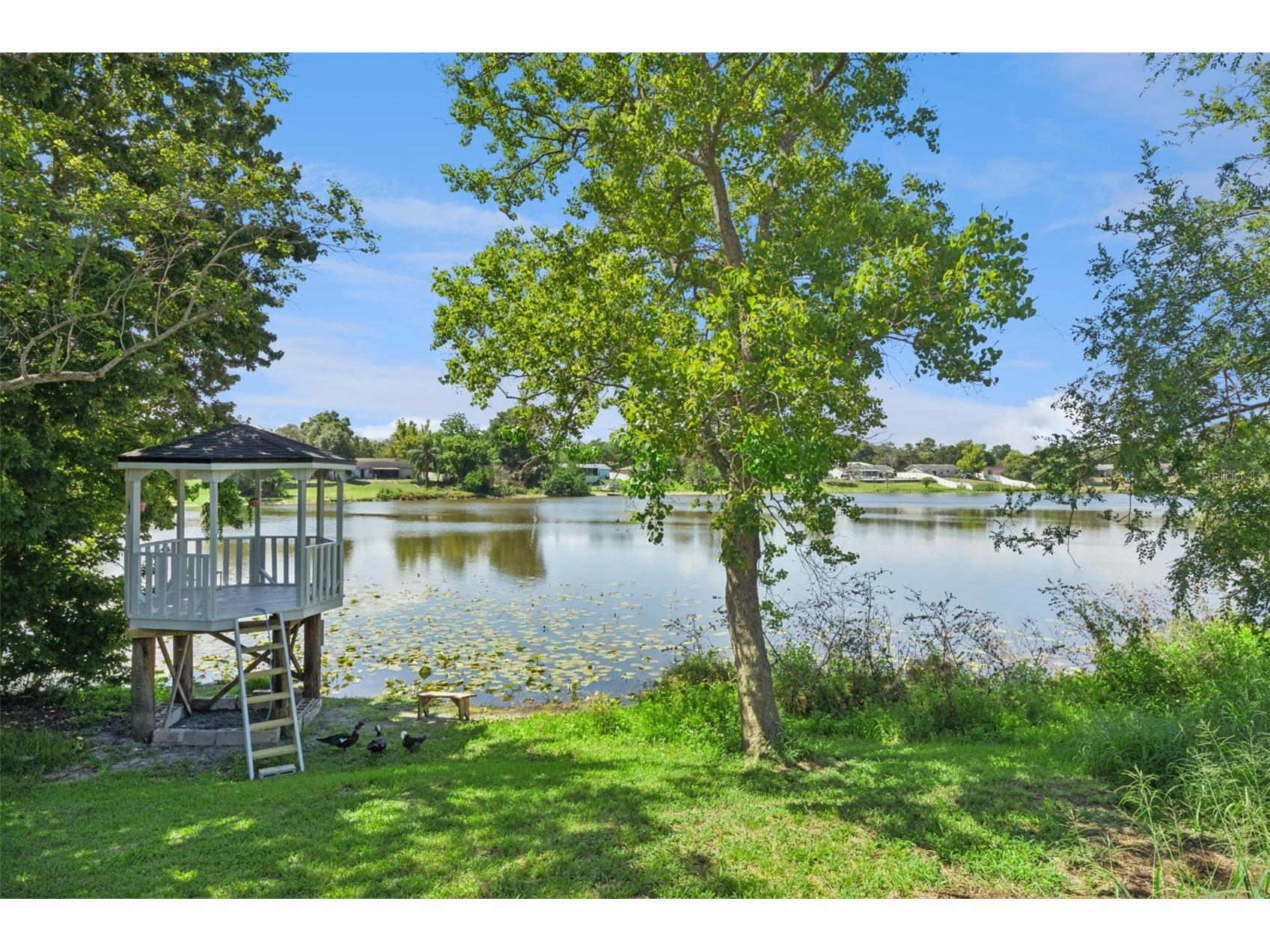 1212 Russell Drive Ocoee FL 34761 - PEACH LAKE O6407051 image38