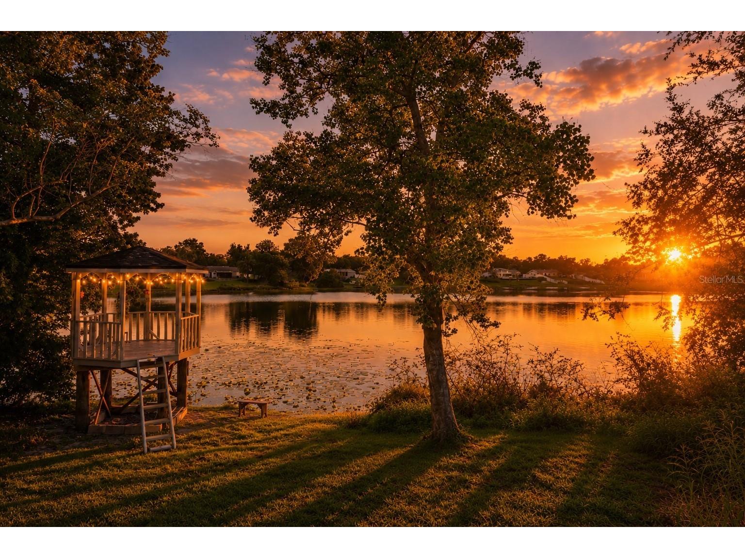 1212 Russell Drive Ocoee FL 34761 - PEACH LAKE O6407051 image40