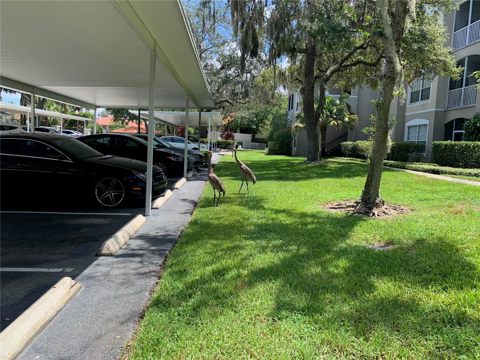 1212 S Hiawassee Road #535 Orlando FL 32835 O6370804 image25