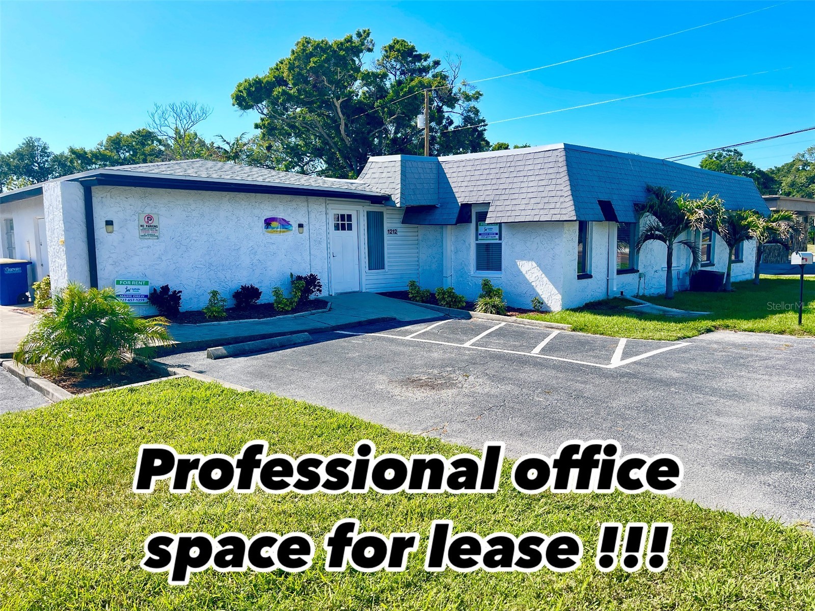 1212 S Highland Avenue #5 Clearwater FL 33756 TB8401927 image1