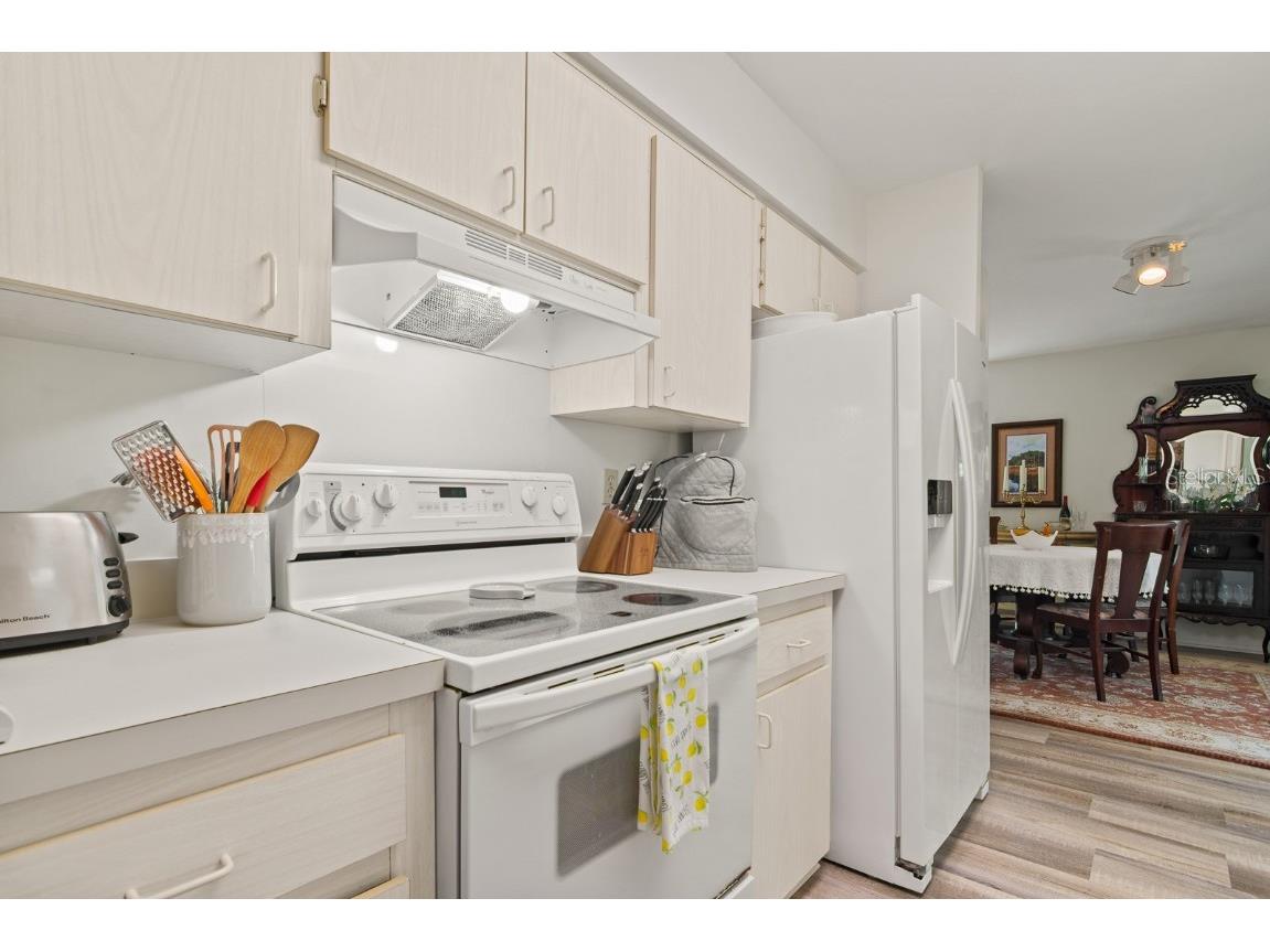 1212 Timberbrooke Drive Palm Harbor FL 34684 - LAKE TARPON TB8442896 image24