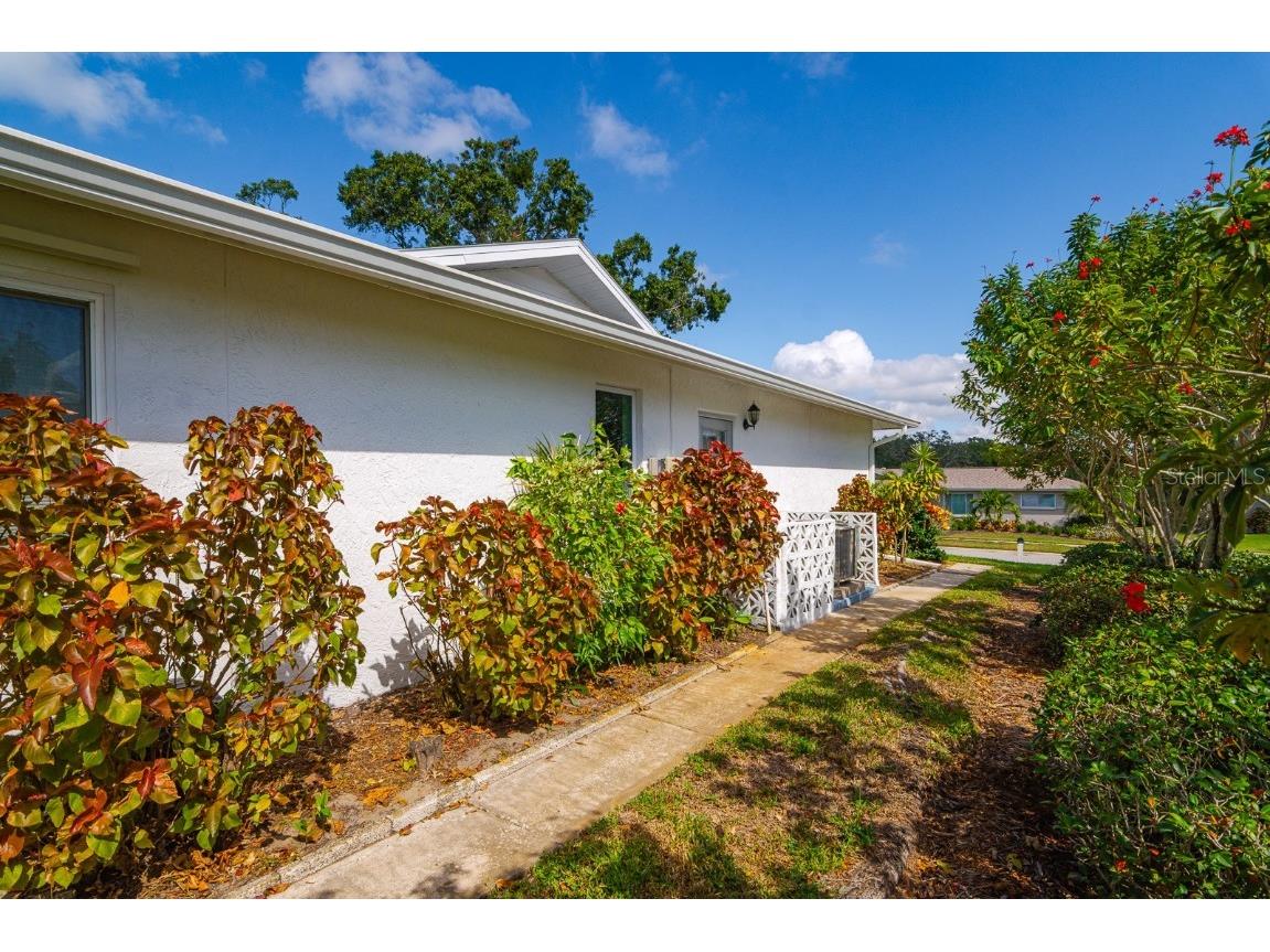 1212 Timberbrooke Drive Palm Harbor FL 34684 - LAKE TARPON TB8442896 image33