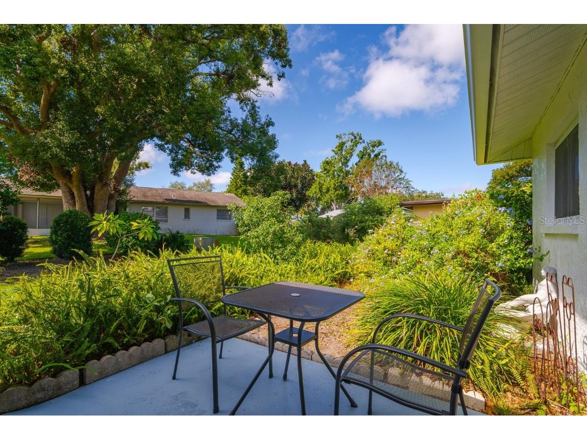 1212 Timberbrooke Drive Palm Harbor FL 34684 - LAKE TARPON TB8442896 image4