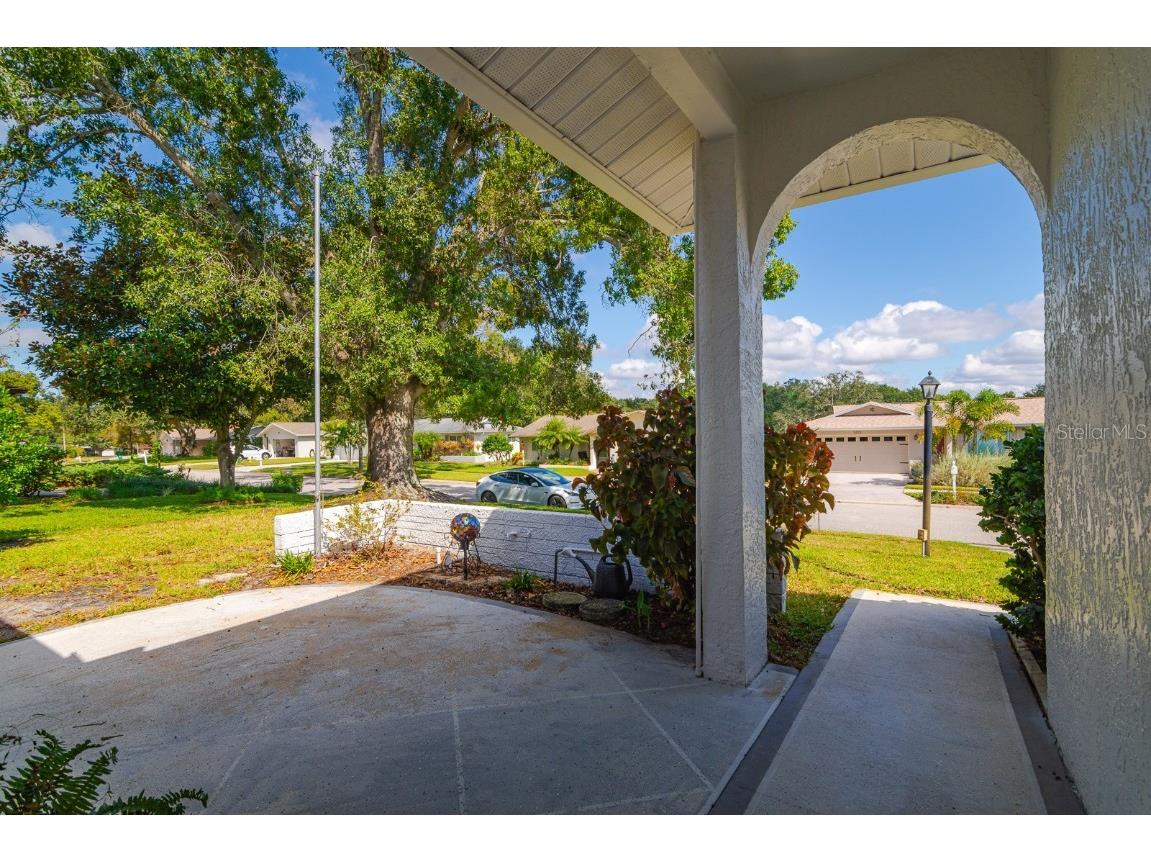 1212 Timberbrooke Drive Palm Harbor FL 34684 - LAKE TARPON TB8442896 image41