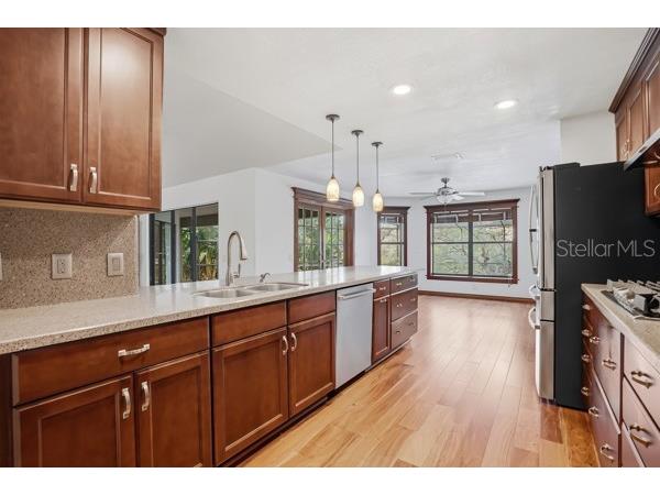 1212 Weybridge Lane Dunedin FL 34698 TB8491733 image16