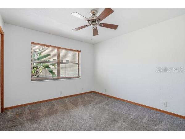 1212 Weybridge Lane Dunedin FL 34698 TB8491733 image37