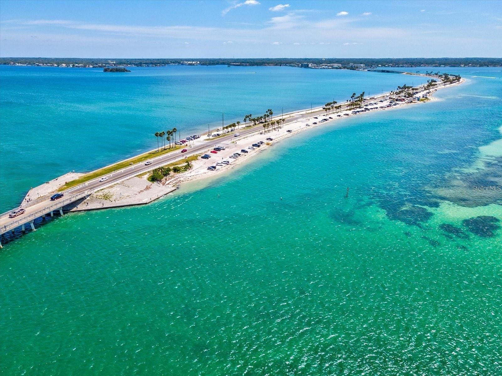 1212 Weybridge Lane Dunedin FL 34698 TB8491733 image4