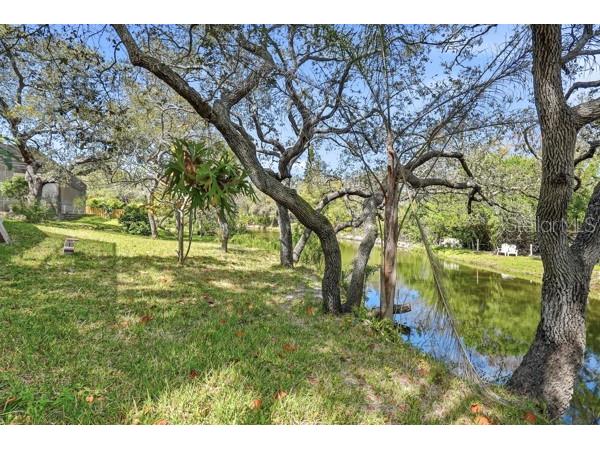1212 Weybridge Lane Dunedin FL 34698 TB8491733 image49