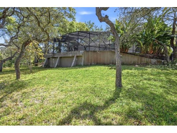 1212 Weybridge Lane Dunedin FL 34698 TB8491733 image50