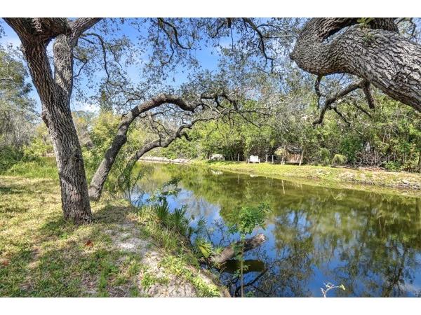 1212 Weybridge Lane Dunedin FL 34698 TB8491733 image59