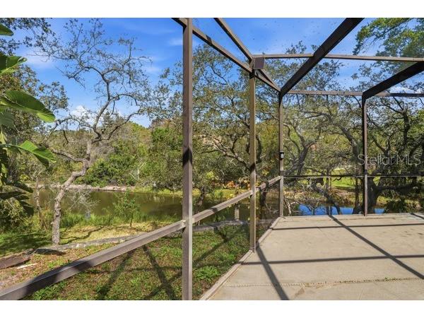 1212 Weybridge Lane Dunedin FL 34698 TB8491733 image6
