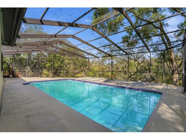 1212 Weybridge Lane Dunedin FL 34698 TB8491733 image60