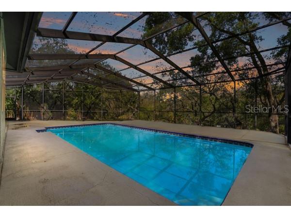 1212 Weybridge Lane Dunedin FL 34698 TB8491733 image62