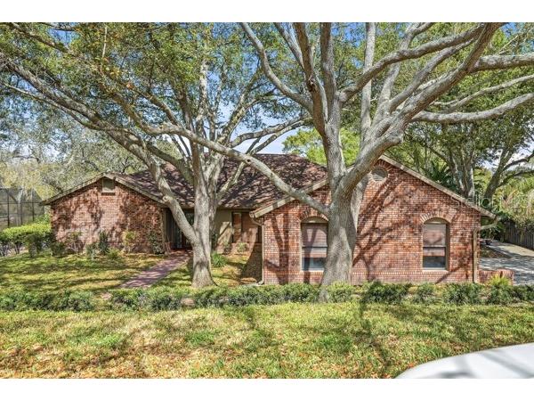 1212 Weybridge Lane Dunedin FL 34698 TB8491733 image63