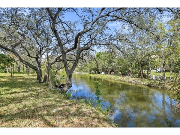 1212 Weybridge Lane Dunedin FL 34698 TB8491733 image8