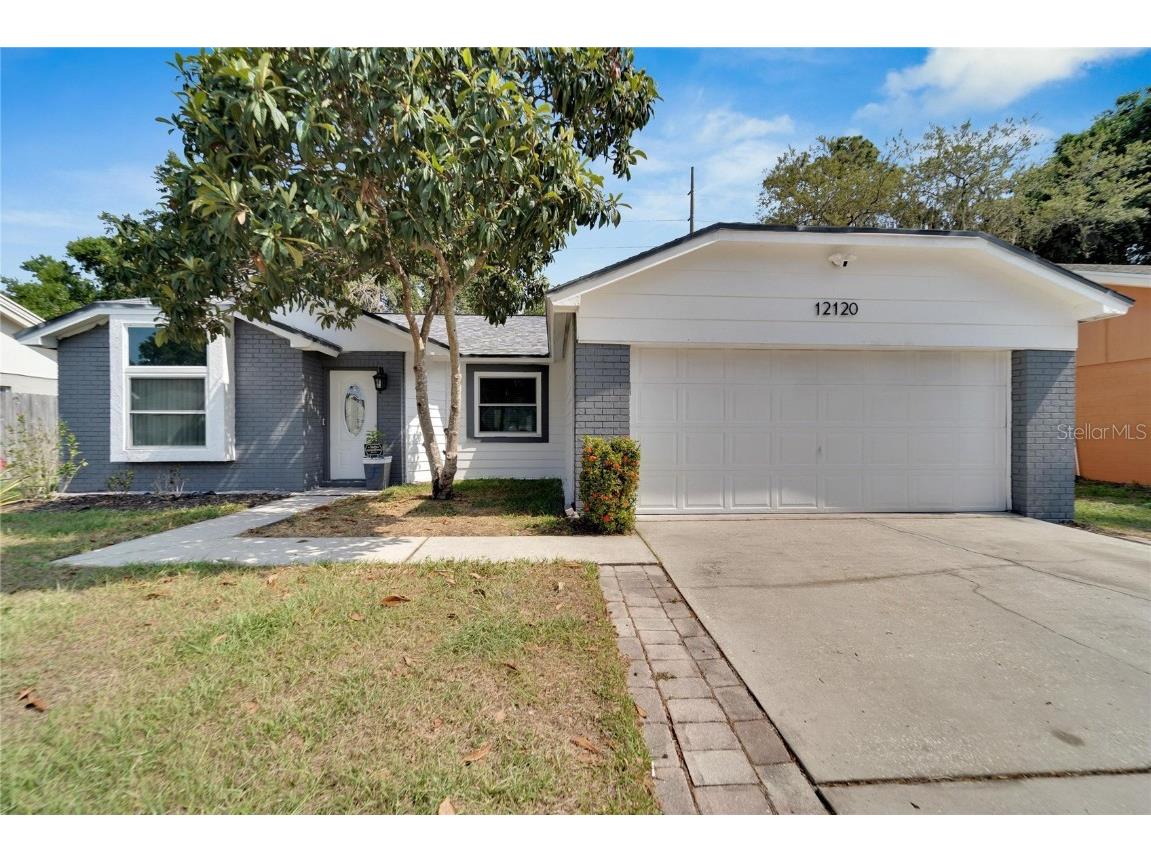 12120 Fruitwood Drive Riverview FL 33569 T3443071 image1