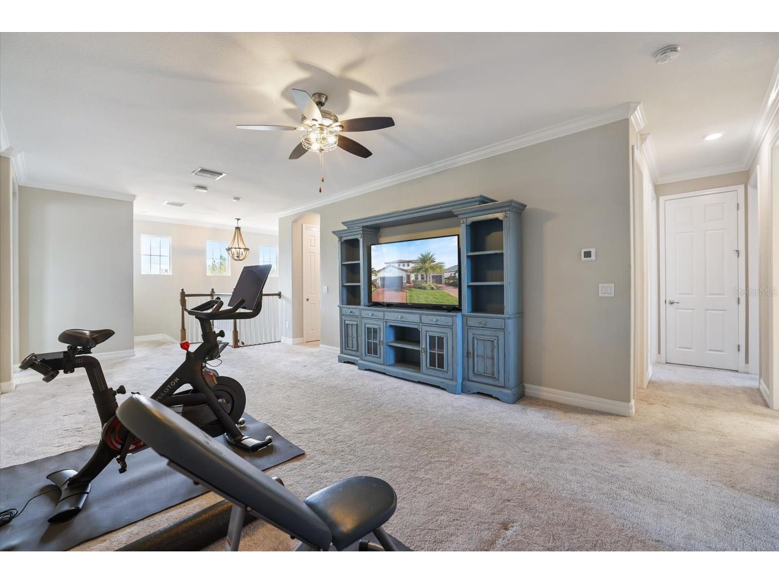 12120 Gannett Place Lakewood Ranch FL 34211 A4699491 image50