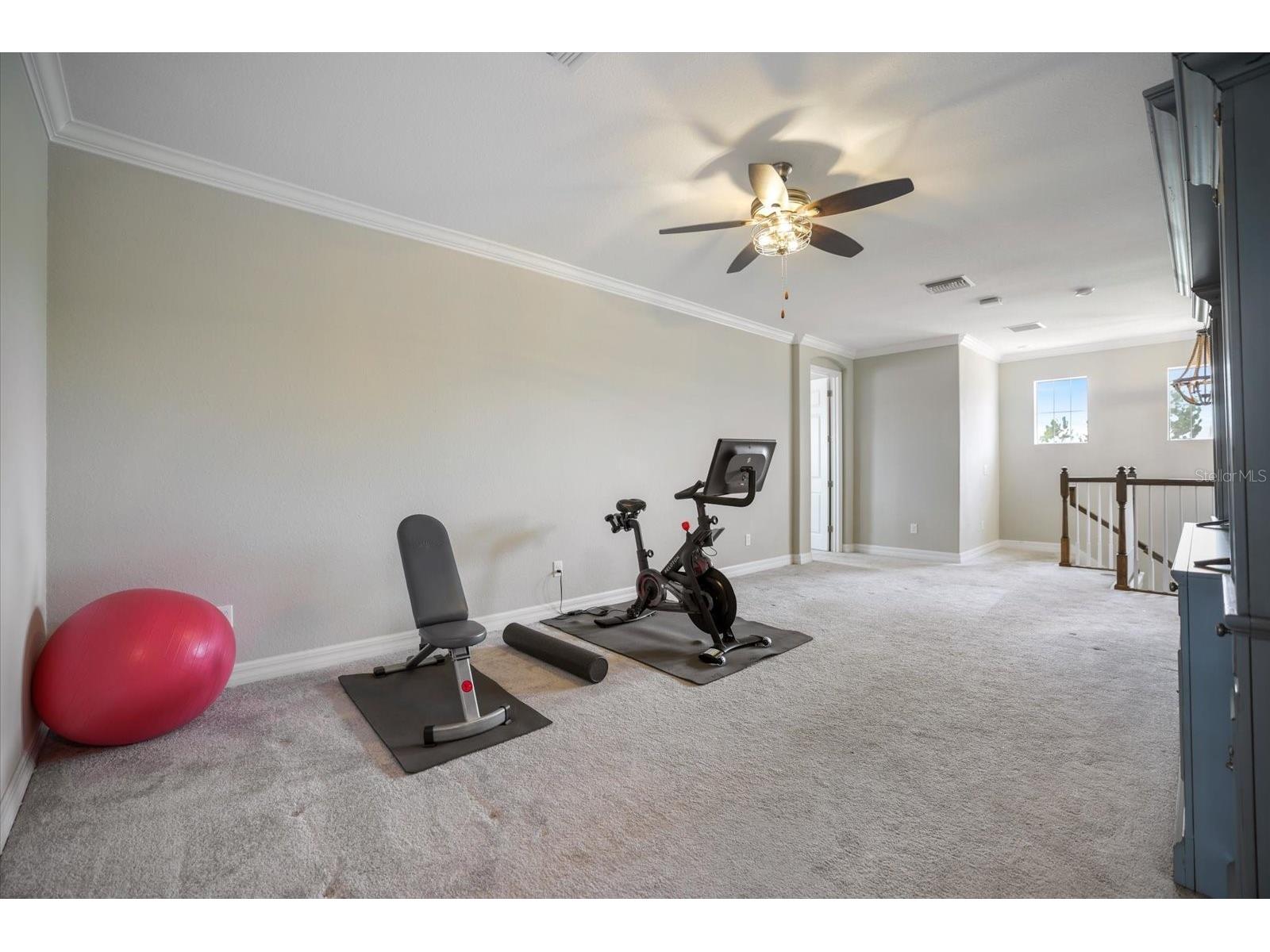 12120 Gannett Place Lakewood Ranch FL 34211 A4699491 image52