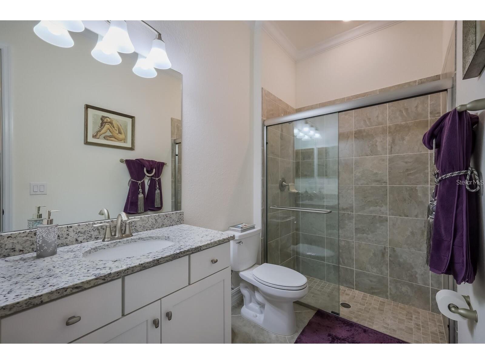 12120 Gannett Place Lakewood Ranch FL 34211 A4699491 image61
