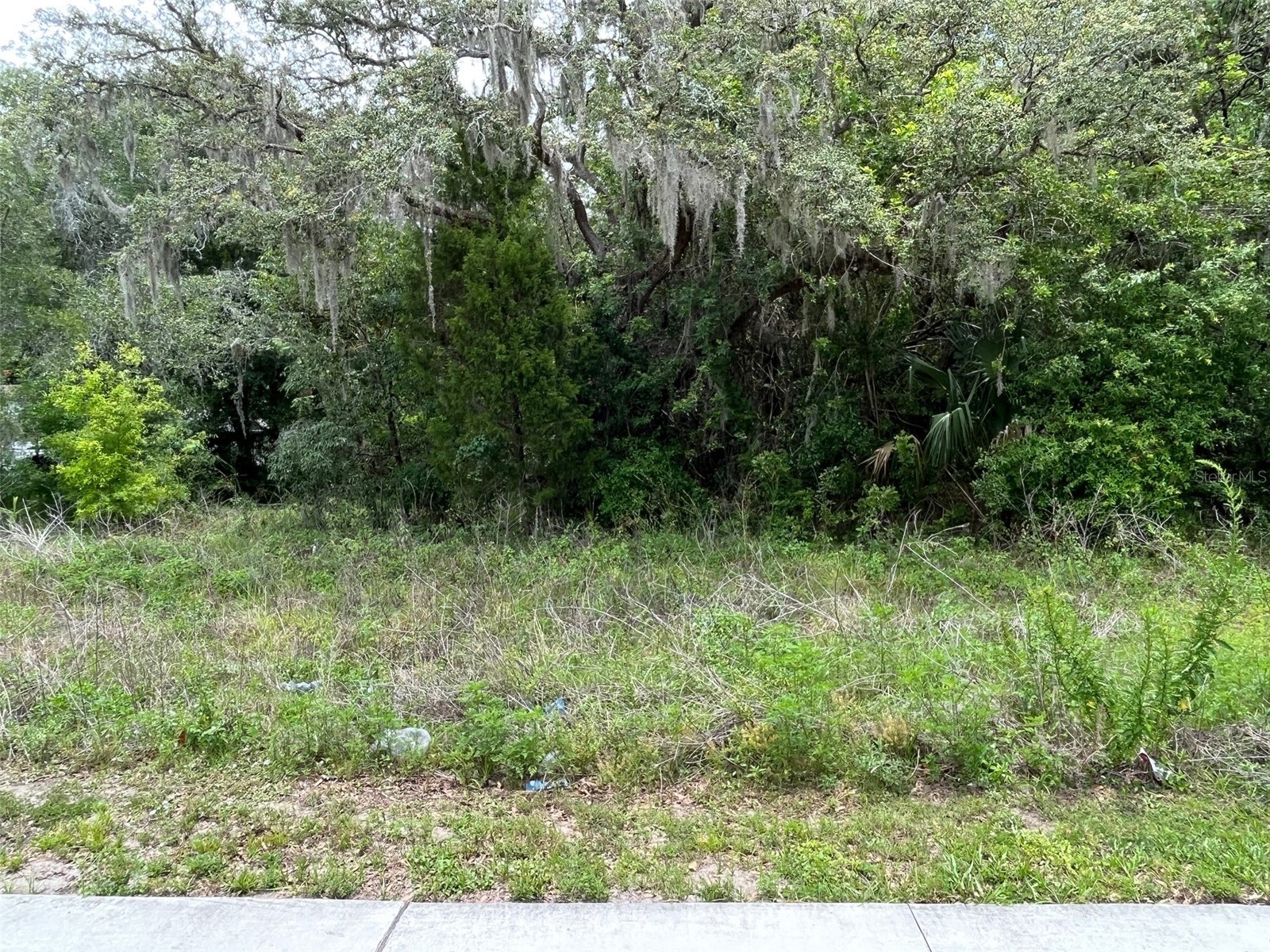 12120 Hicks Road Hudson FL 34669 W7869829 image4