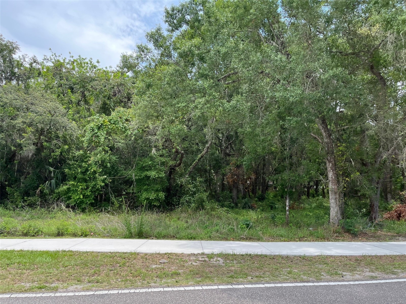12120 Hicks Road Hudson FL 34669 W7869829 image5