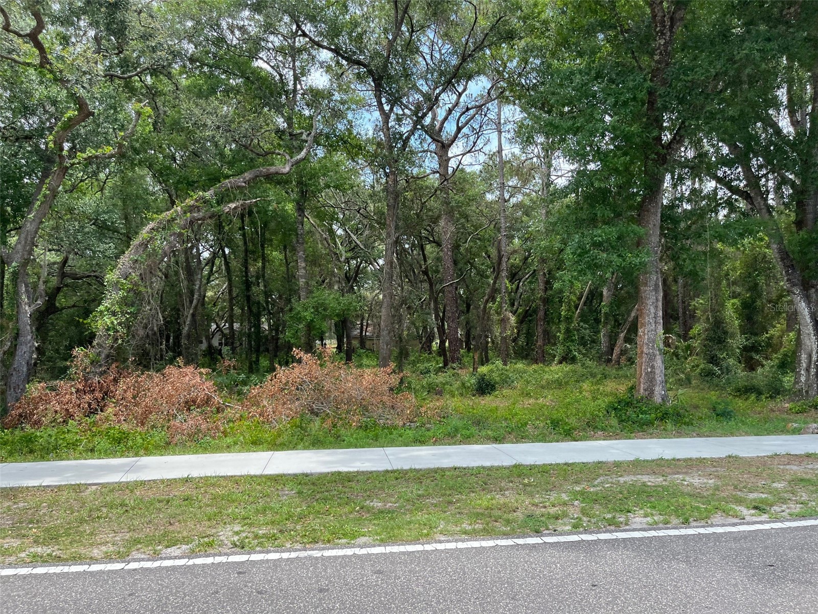 12120 Hicks Road Hudson FL 34669 W7869829 image6
