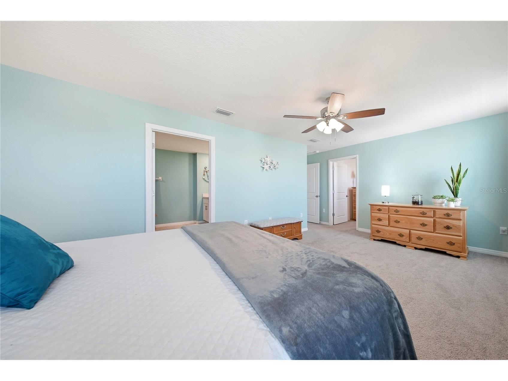 12120 Lily Magnolia Lane Riverview FL 33569 TB8482161 image23