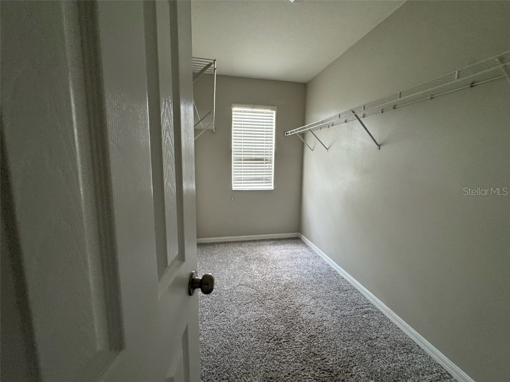 12121 Fern Blossom Drive Gibsonton FL 33534 TB8389502 image11