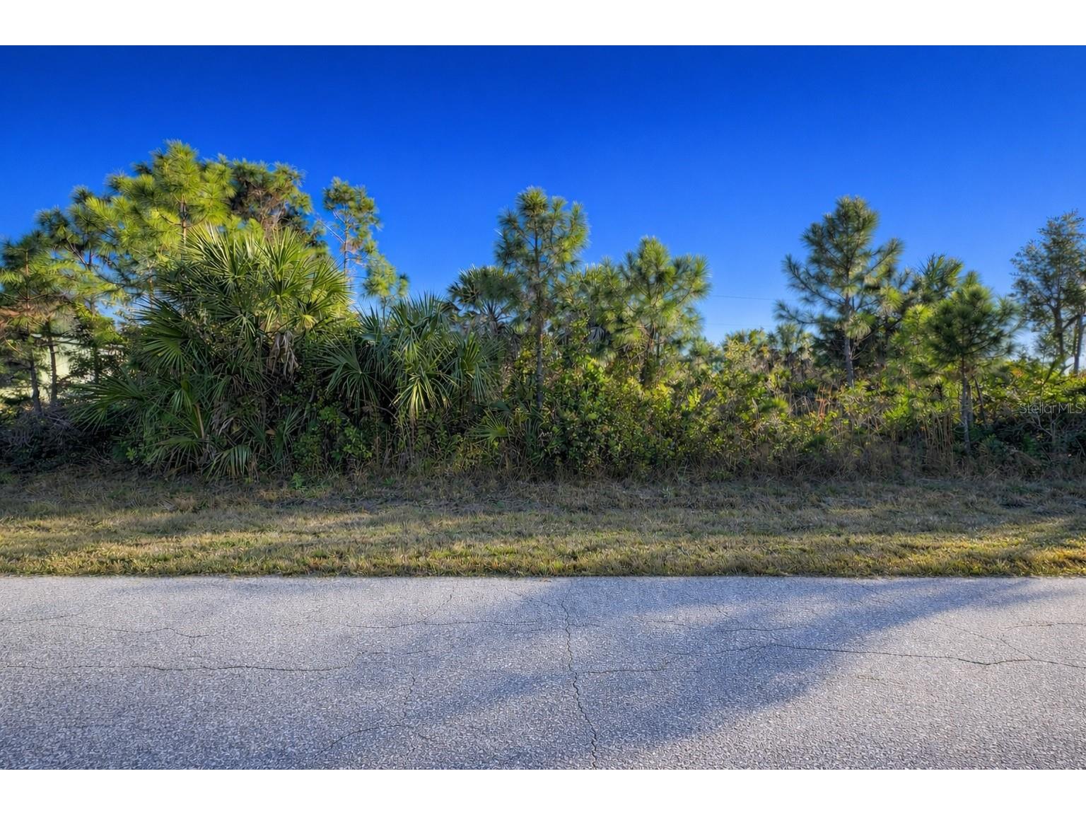 12121 Snow Bird Avenue Port Charlotte FL 33981 C7522343 image1