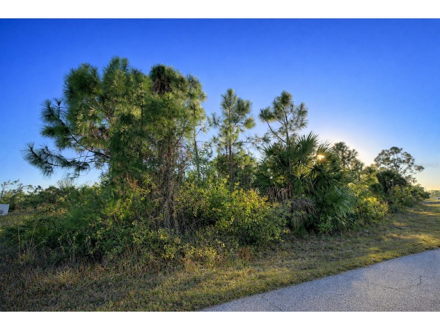 12121 Snow Bird Avenue Port Charlotte FL 33981 C7522343 image2