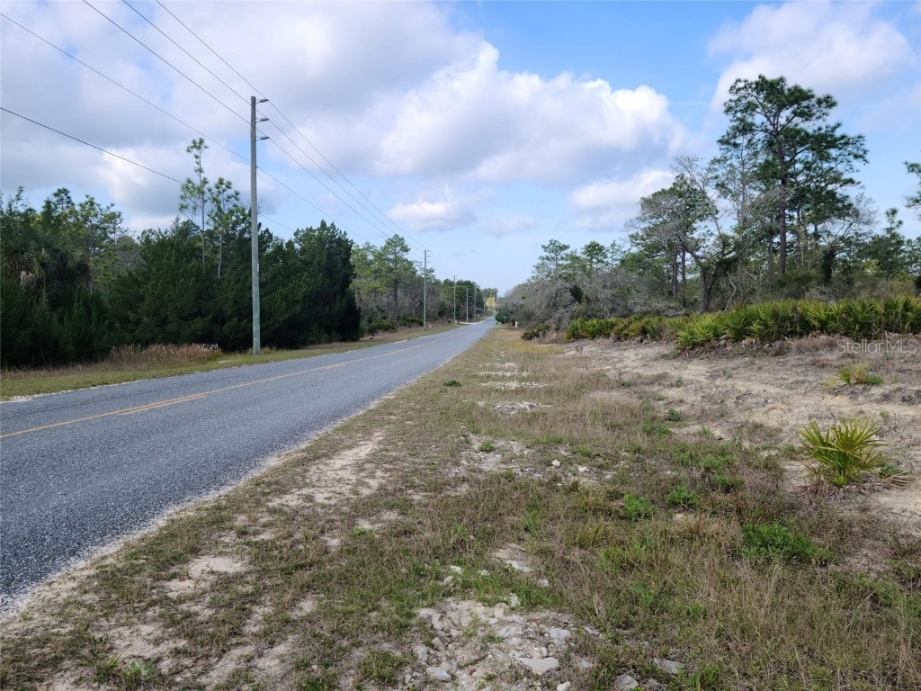 12121 Thrasher Avenue Weeki Wachee FL 34614 W7878933 image4