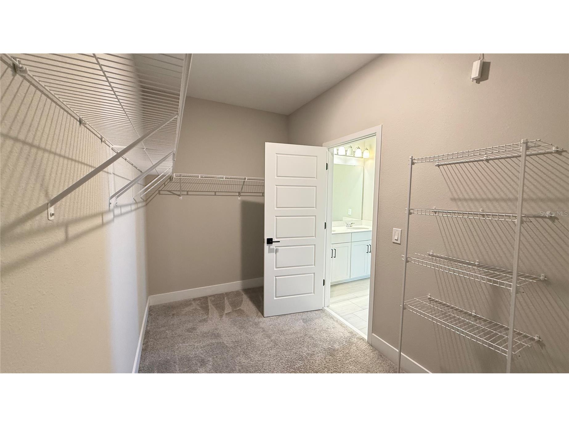 12122 Bracco Street Winter Garden FL 34787 O6400131 image25