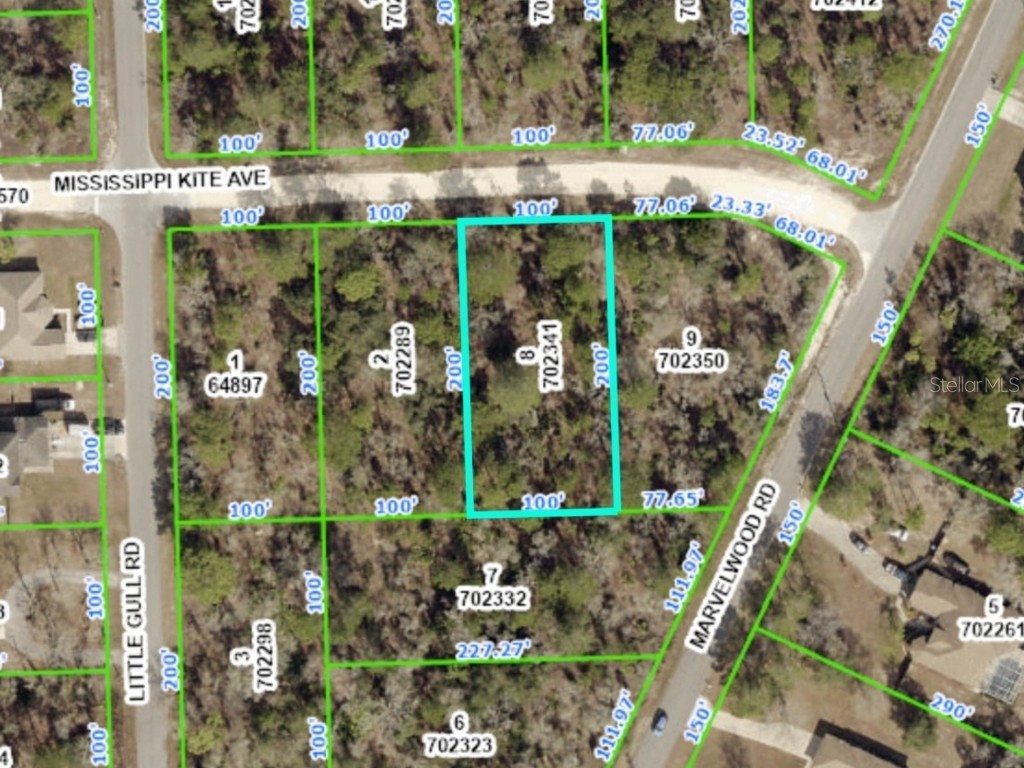 12122 Mississippi Kite Avenue Weeki Wachee FL 34614 T3410395 image1