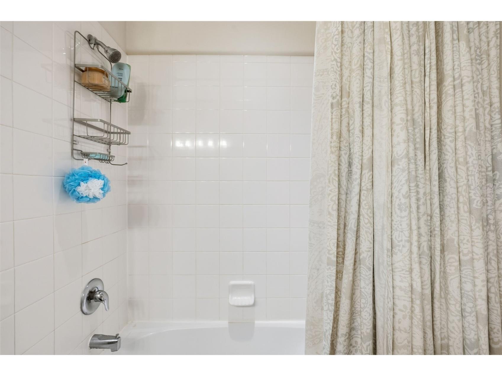 12122 Rambling Stream Drive Riverview FL 33569 TB8470801 image11