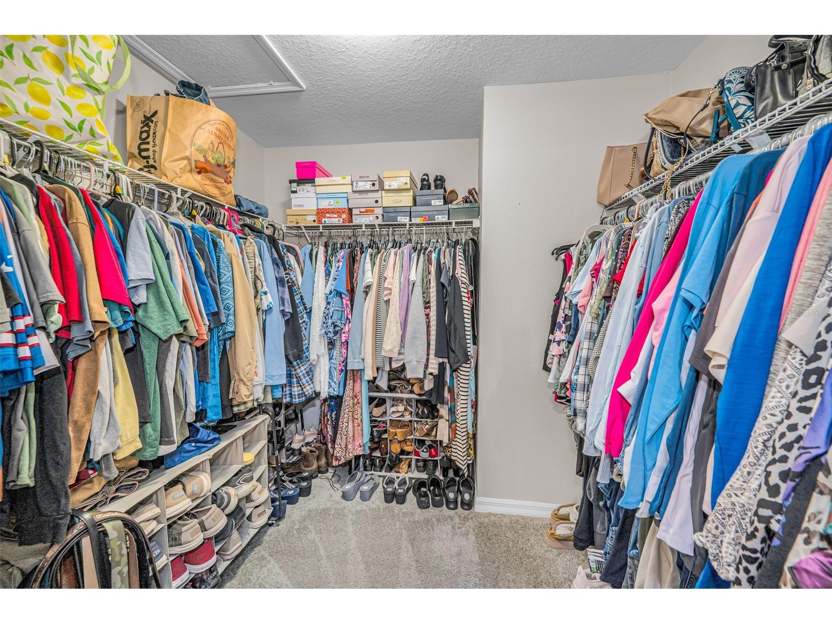 12123 Fulmar Road Weeki Wachee FL 34614 TB8503828 image31