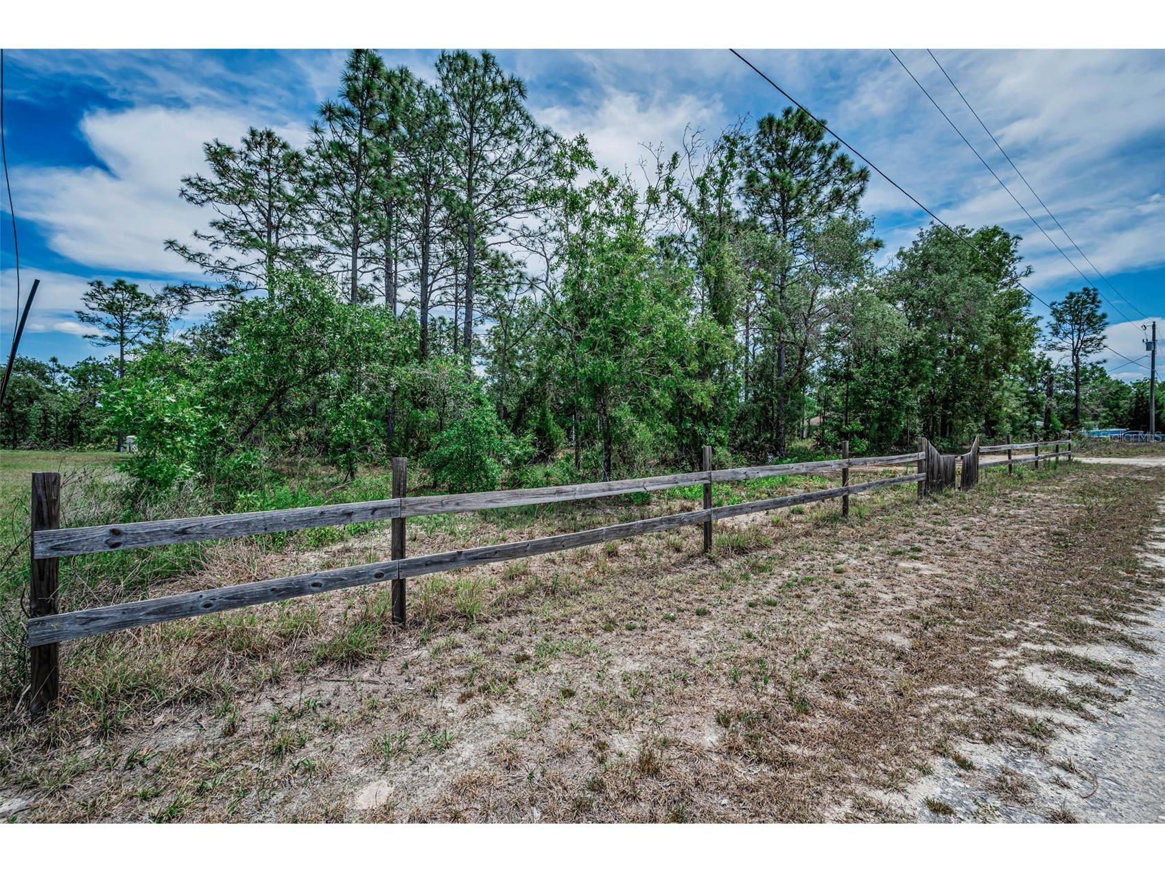 12123 Fulmar Road Weeki Wachee FL 34614 TB8503828 image63