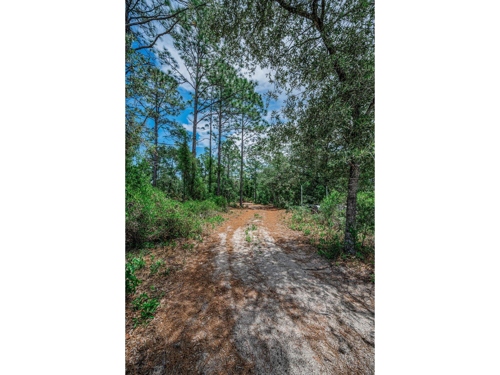 12123 Fulmar Road Weeki Wachee FL 34614 TB8503828 image65