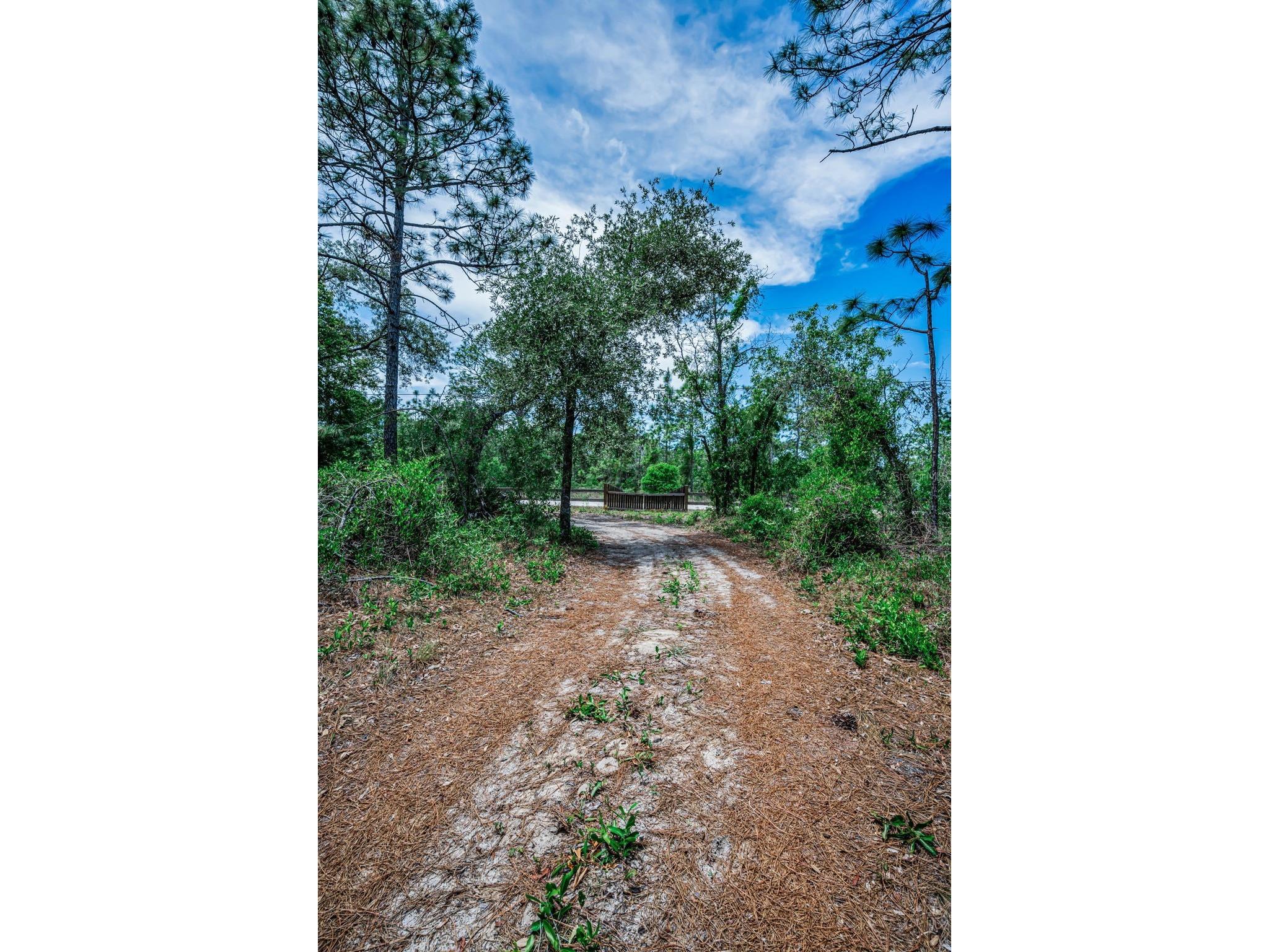 12123 Fulmar Road Weeki Wachee FL 34614 TB8503828 image67