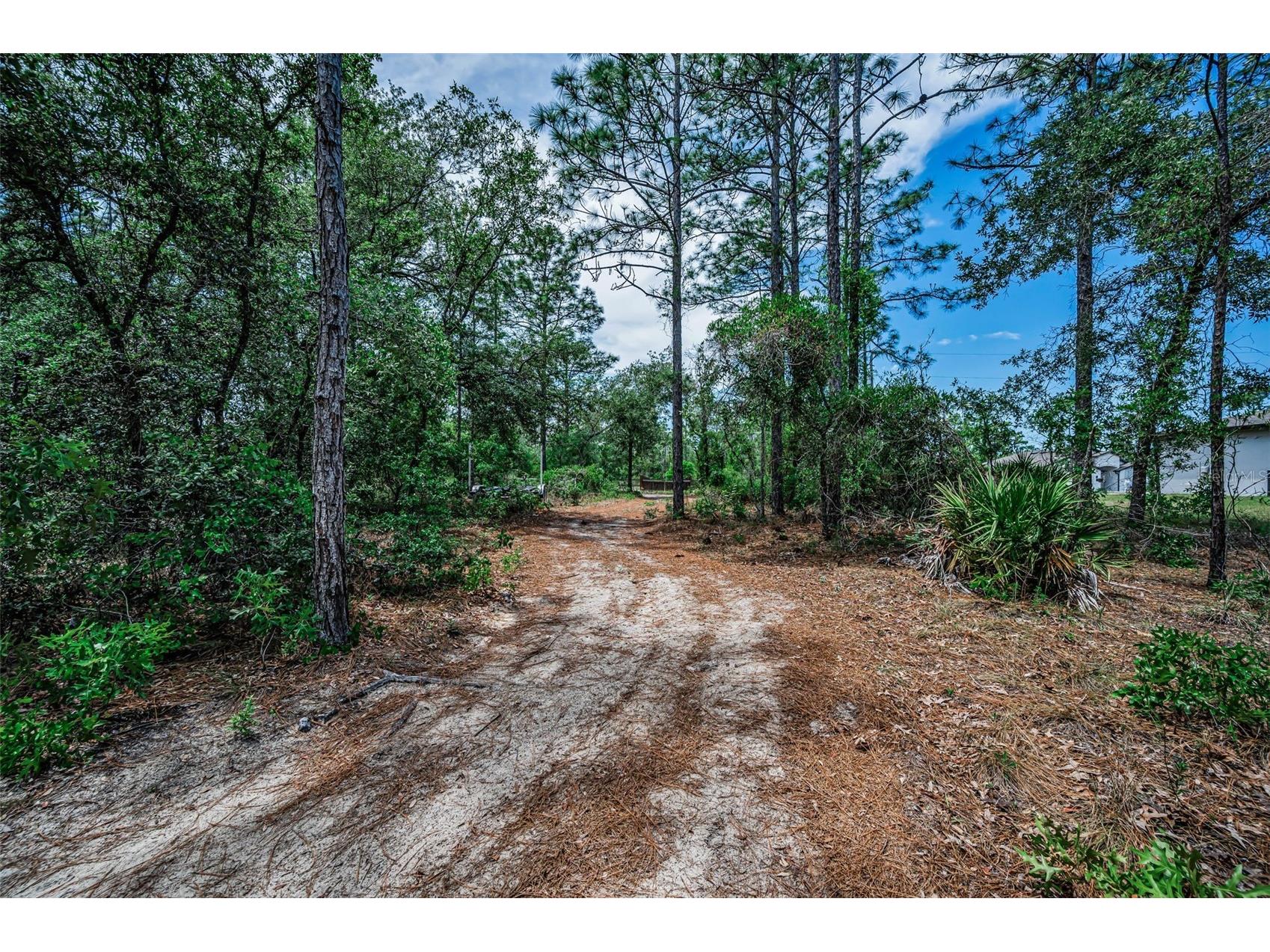 12123 Fulmar Road Weeki Wachee FL 34614 TB8503828 image68