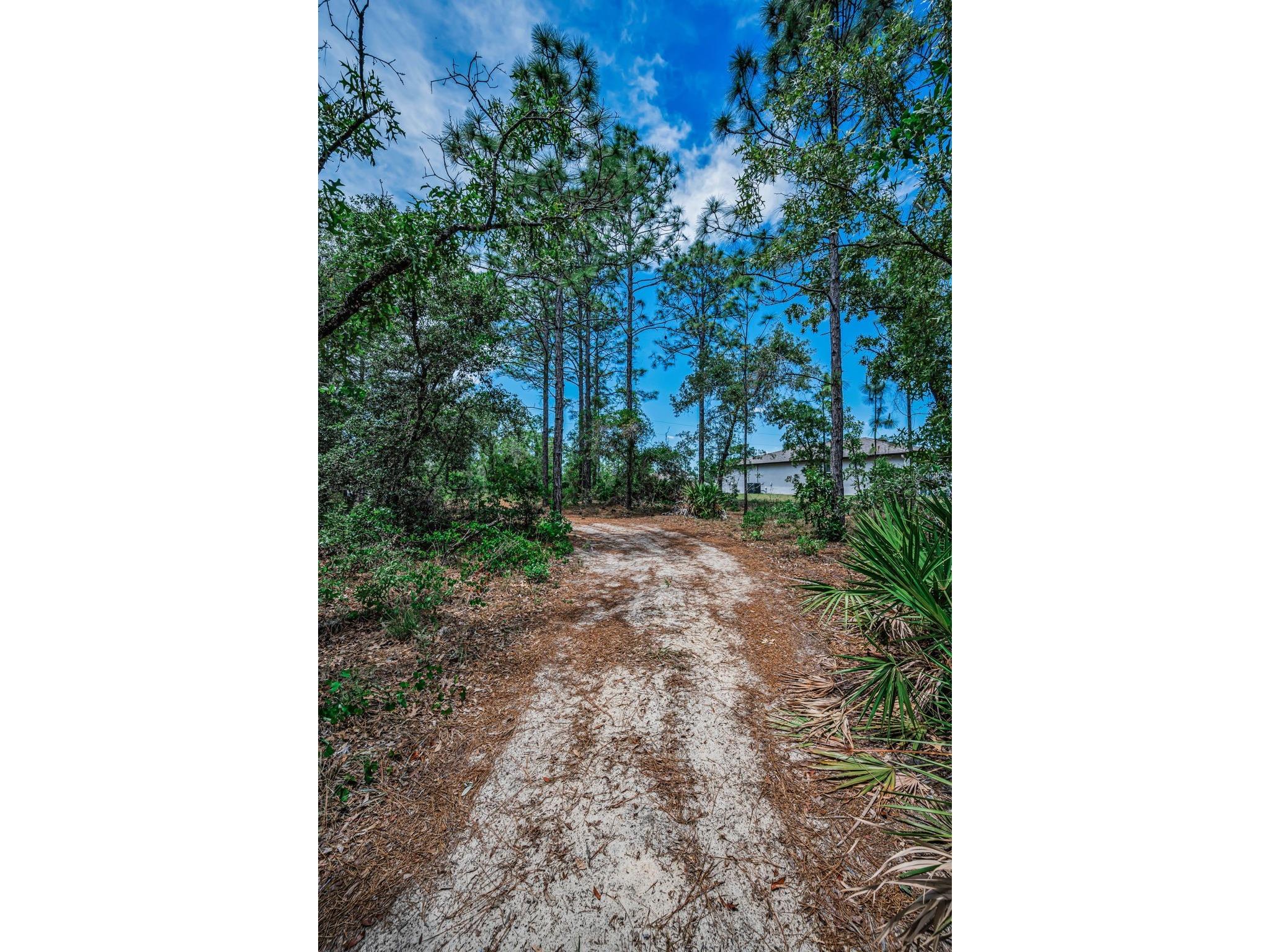 12123 Fulmar Road Weeki Wachee FL 34614 TB8503828 image69