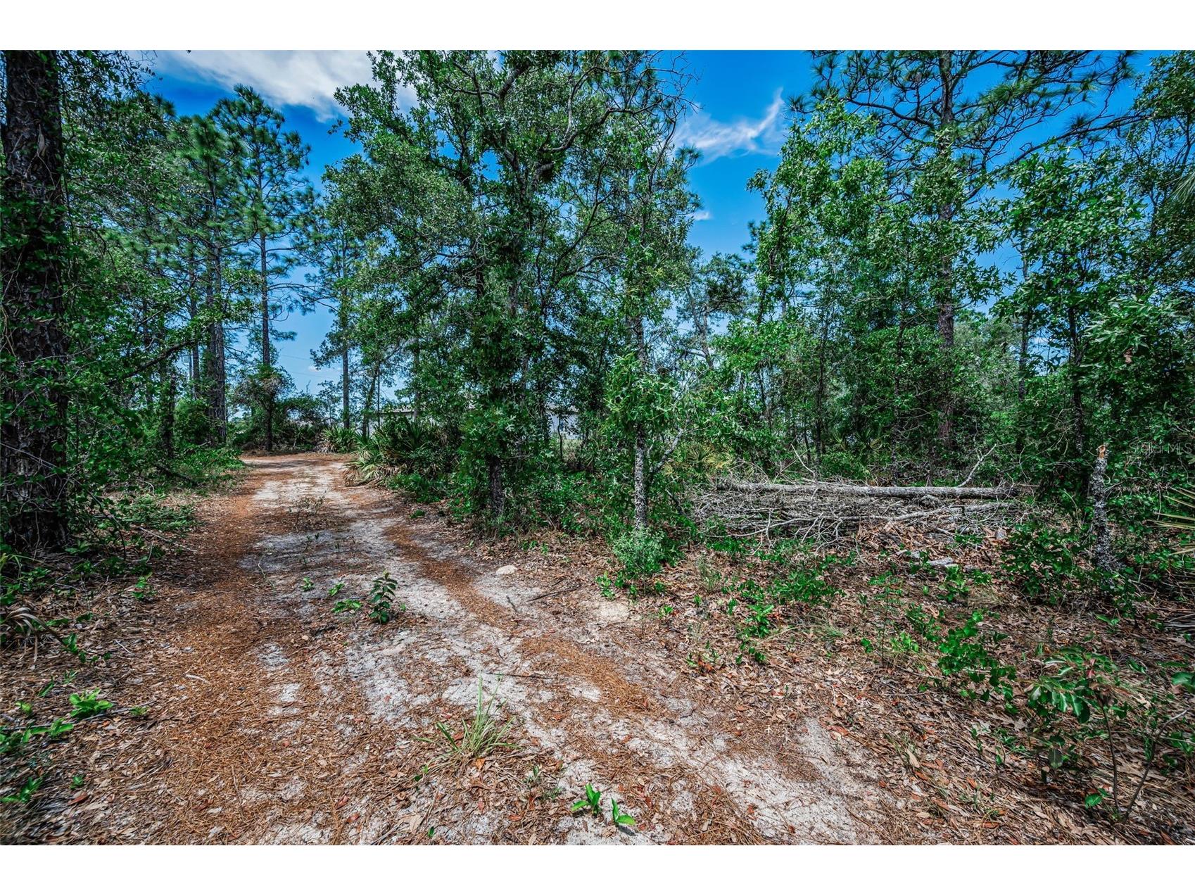 12123 Fulmar Road Weeki Wachee FL 34614 TB8503828 image70