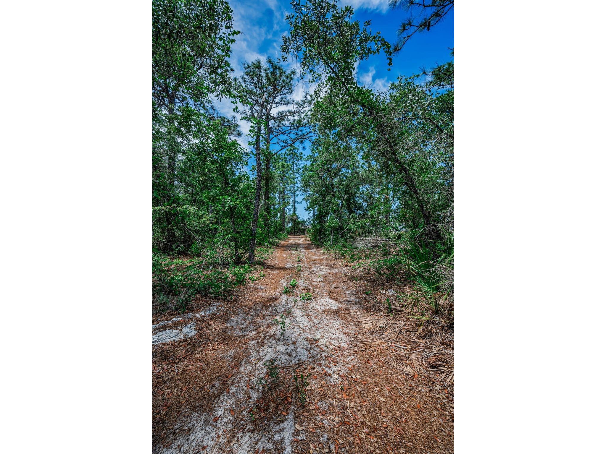12123 Fulmar Road Weeki Wachee FL 34614 TB8503828 image71